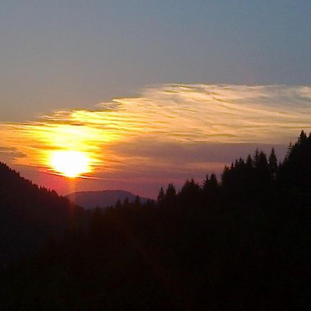 Apartman Bambi Zlatar Nova Varoš Quarto foto