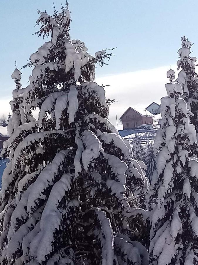 Apartman Bambi Zlatar Nova Varoš Exterior foto